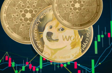 狗狗币百万富翁说他将“全力以赴”卡尔达诺 — 看好 DOGE 和 ADA