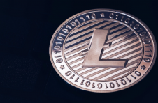 Finder 的专家小组建议莱特币的价格到年底飙升 40% 以上，每个 LTC 266 美元