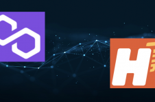 在最近与 Hermez Network 合并后，Polygon 巩固了其作为卓越的第 2 层领导者的地位