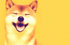 Shiba Inu 回顾：从战略性 DeFi 合作伙伴关系到原始 Doge NFT 的细分化