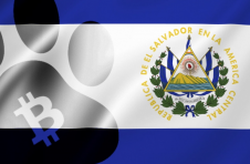 比特币资助萨尔瓦多兽医医院的建设