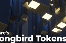 Flare 的 Songbird 代币现已通过机构级托管整合