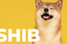 最近的民意调查：73% 的受访者获得 SHIB、驳回 FLOKI