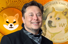 马斯克讨论重要的狗狗币改进，确认没有投资柴犬